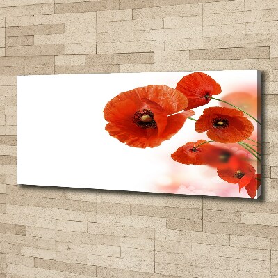 Canvas wall art Macs