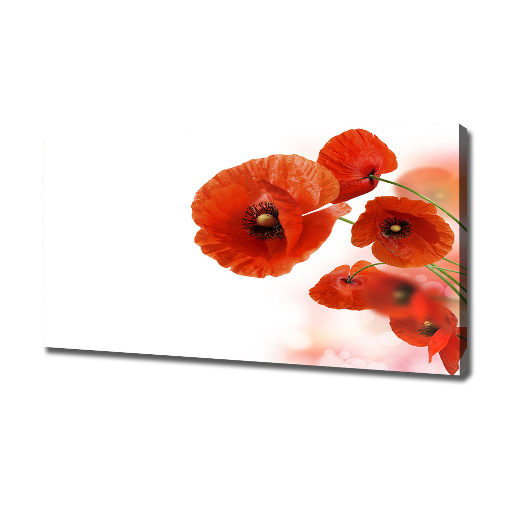 Canvas wall art Macs