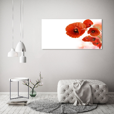 Canvas wall art Macs