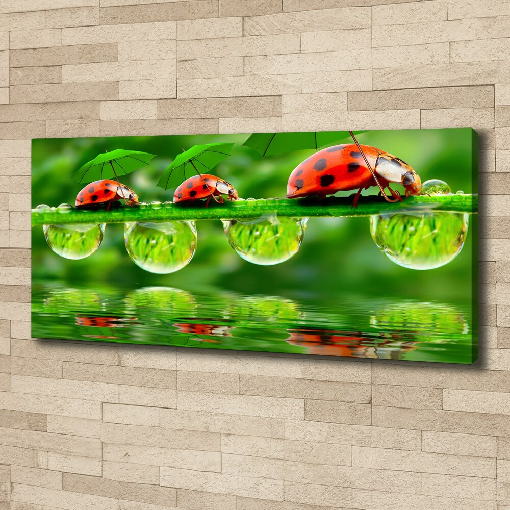 Canvas wall art Ladybugs