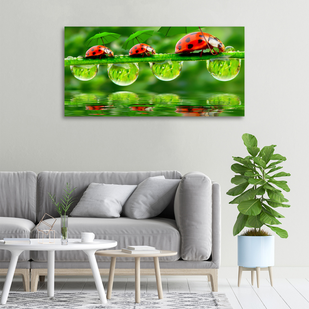 Canvas wall art Ladybugs