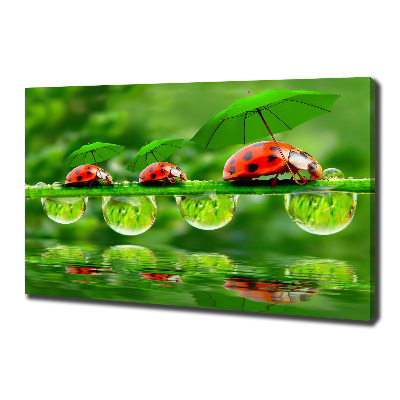 Canvas wall art Ladybugs