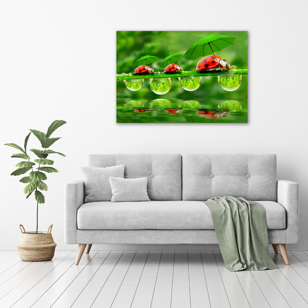 Canvas wall art Ladybugs