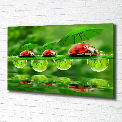 Canvas wall art Ladybugs