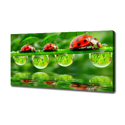 Canvas wall art Ladybugs