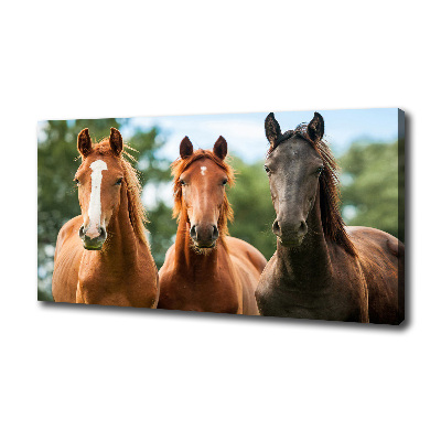 Canvas wall art Three horses