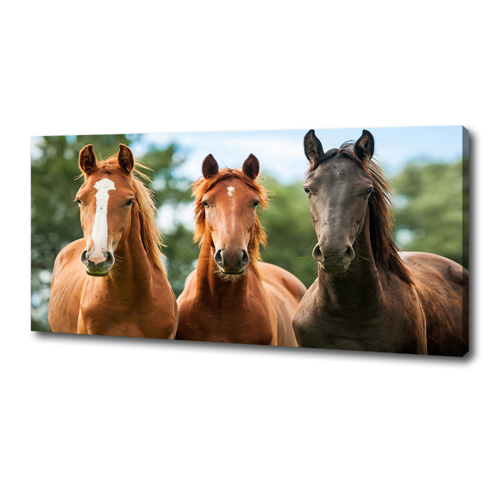 Canvas wall art Three horses