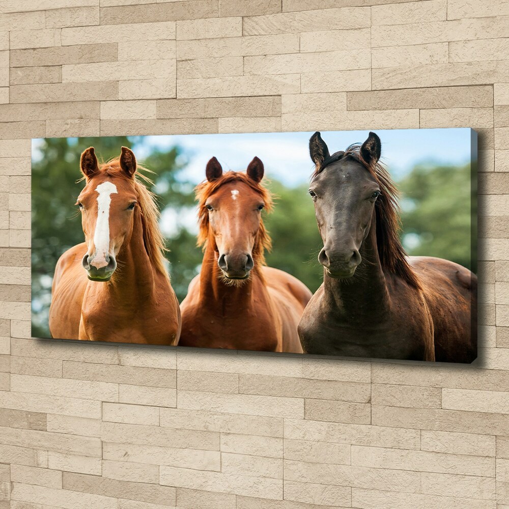 Canvas wall art Three horses