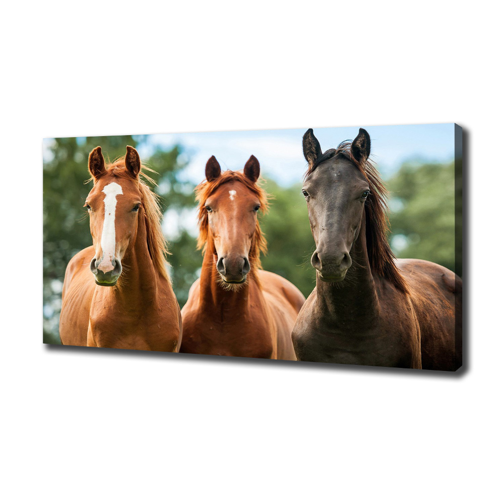 Canvas wall art Three horses