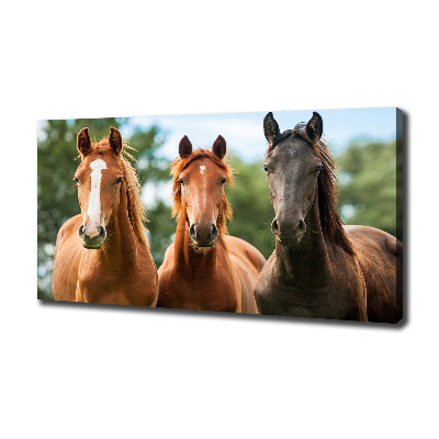 Canvas wall art Three horses