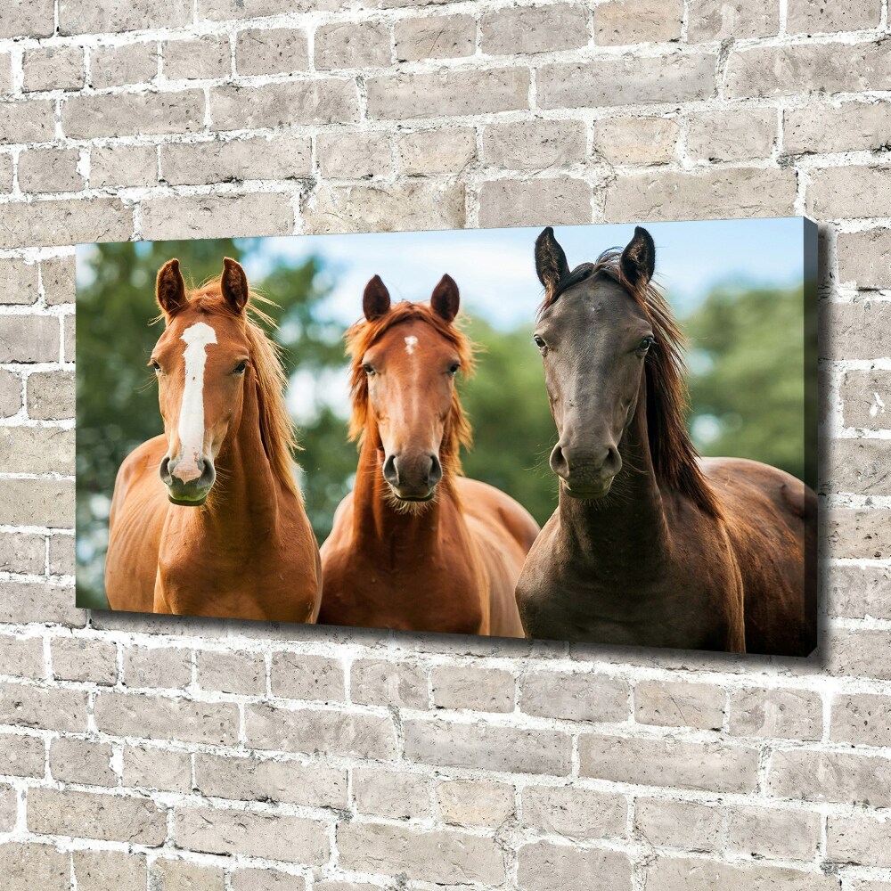 Canvas wall art Three horses