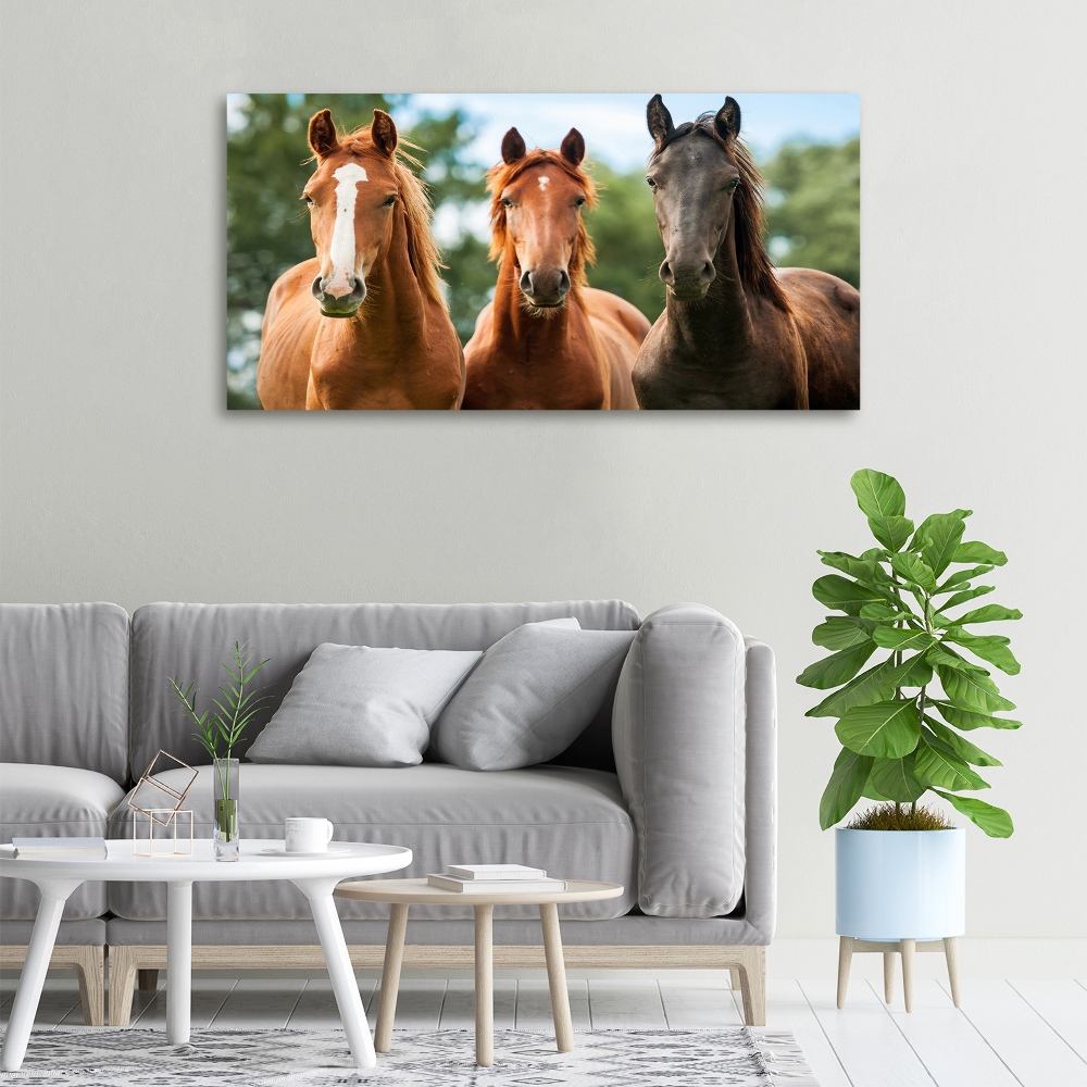 Canvas wall art Three horses