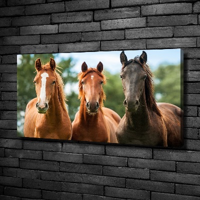 Canvas wall art Three horses