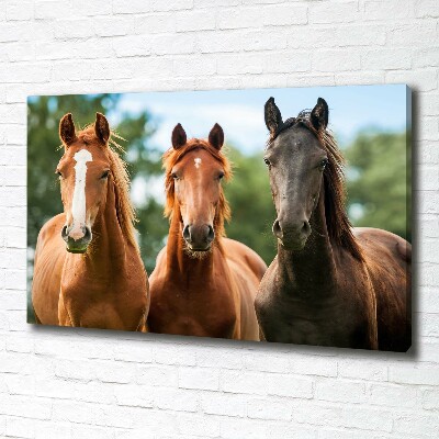 Canvas wall art Three horses