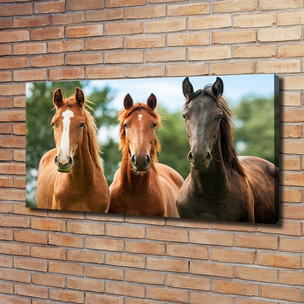 Canvas wall art Three horses