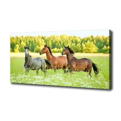 Large canvas wall art Horses at gallop