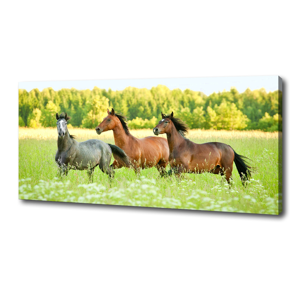 Large canvas wall art Horses at gallop