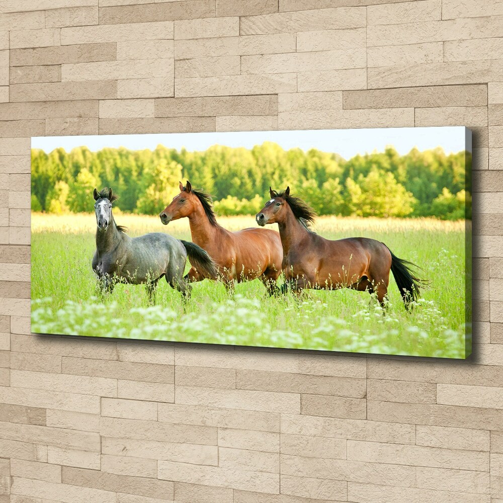 Large canvas wall art Horses at gallop