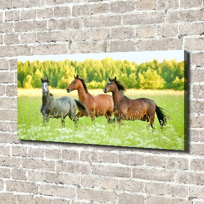 Large canvas wall art Horses at gallop