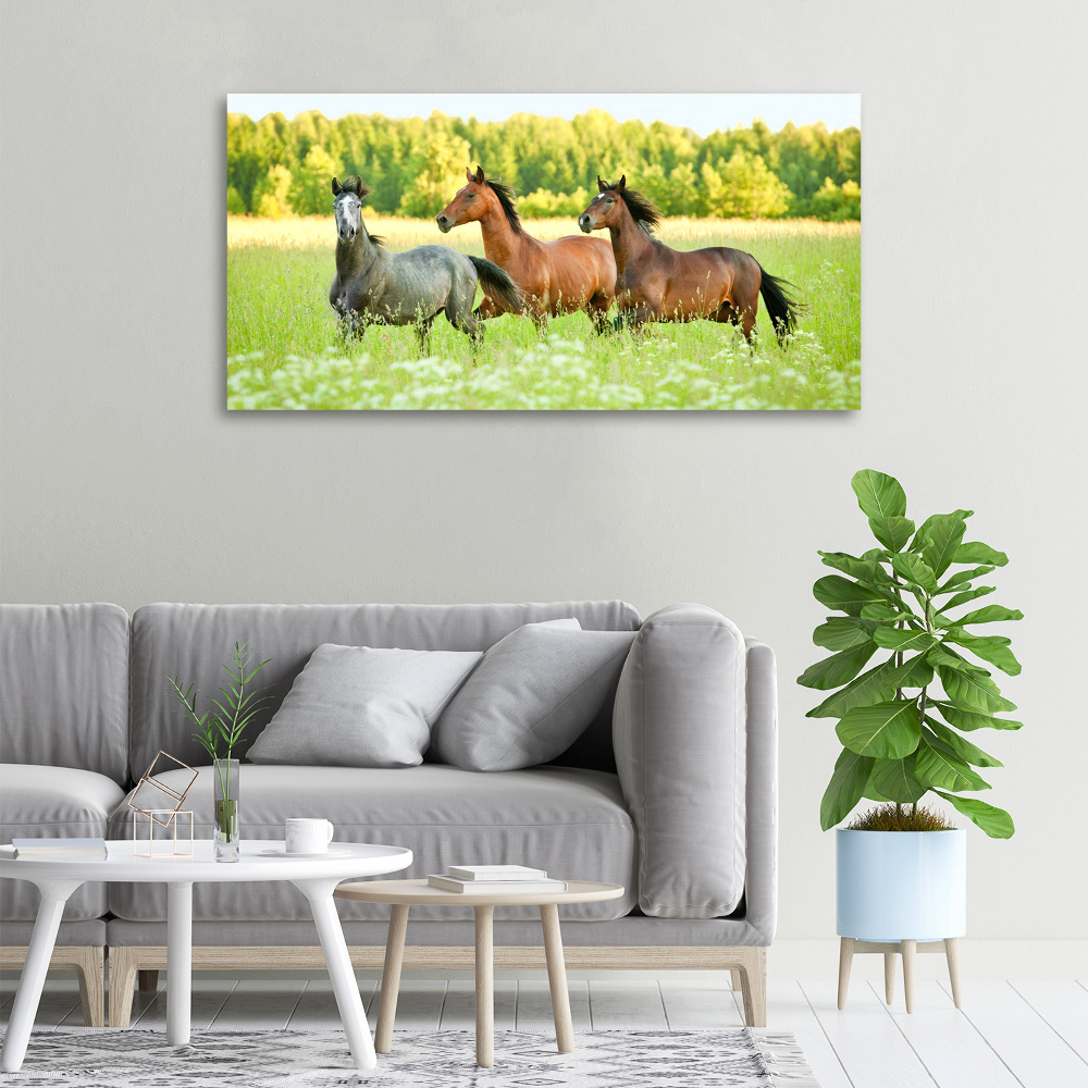 Large canvas wall art Horses at gallop