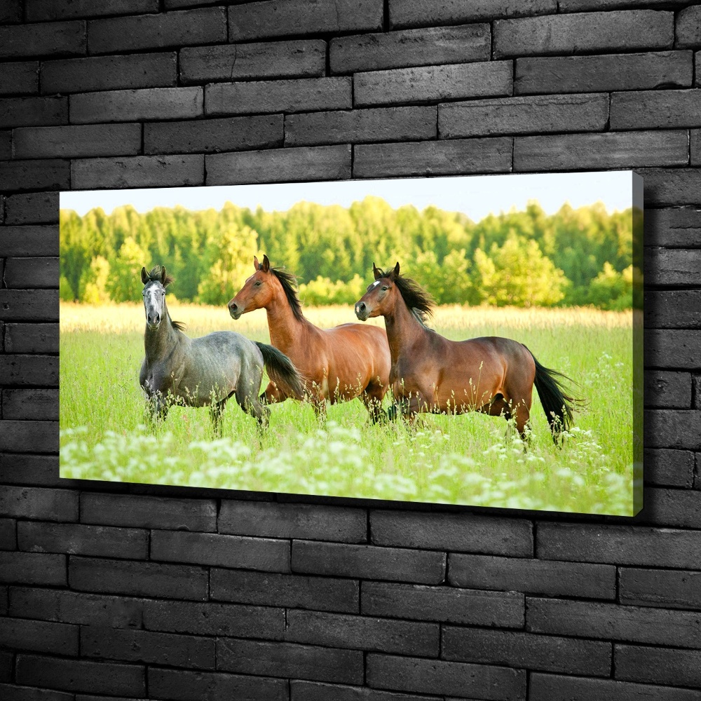 Large canvas wall art Horses at gallop