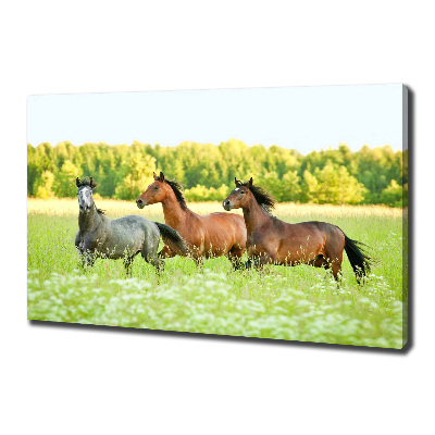 Large canvas wall art Horses at gallop