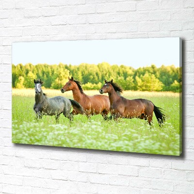 Large canvas wall art Horses at gallop