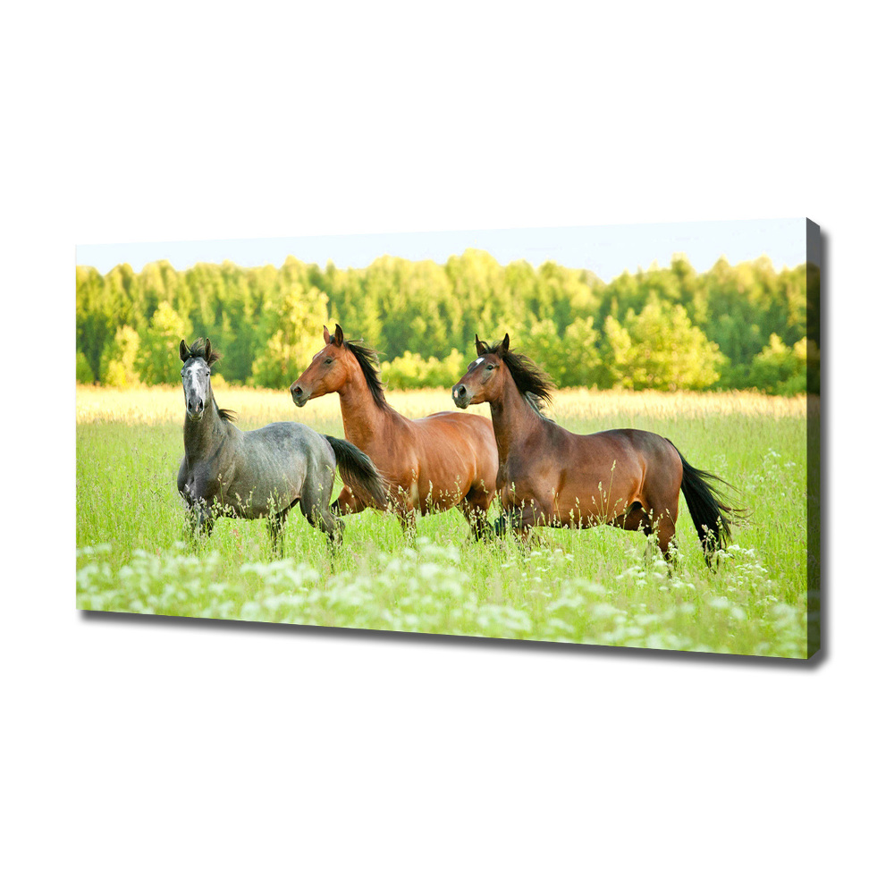 Large canvas wall art Horses at gallop