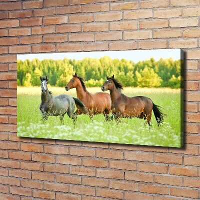 Large canvas wall art Horses at gallop