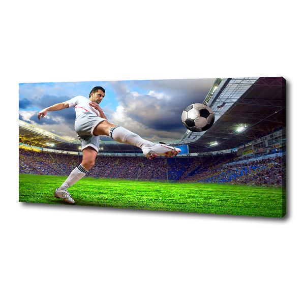 Canvas wall art Footballer at the stadium