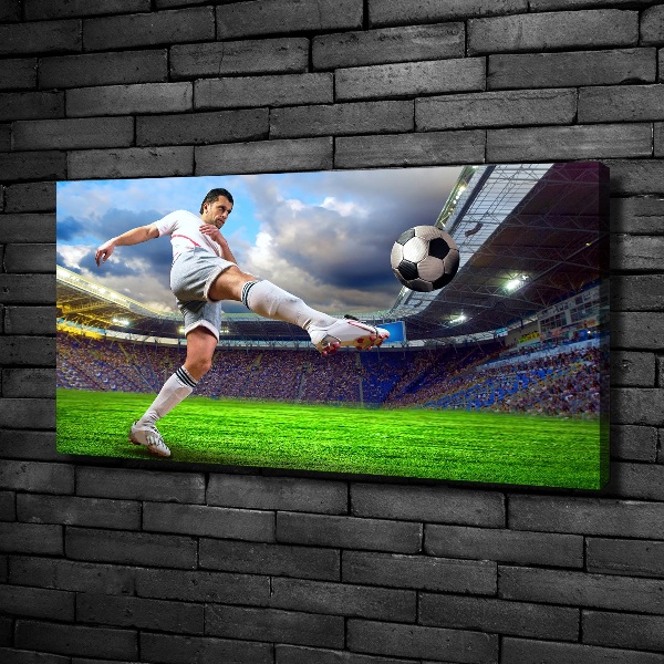 Canvas wall art Footballer at the stadium