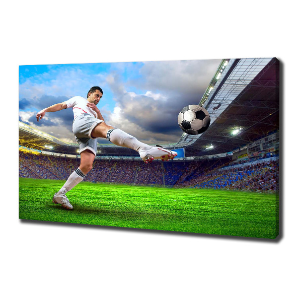 Canvas wall art Footballer at the stadium