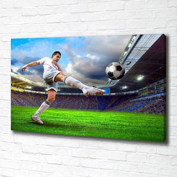 Canvas wall art Footballer at the stadium