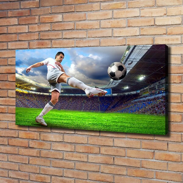 Canvas wall art Footballer at the stadium