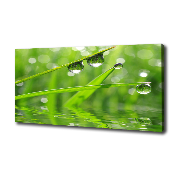 Canvas wall art Drops on the grass