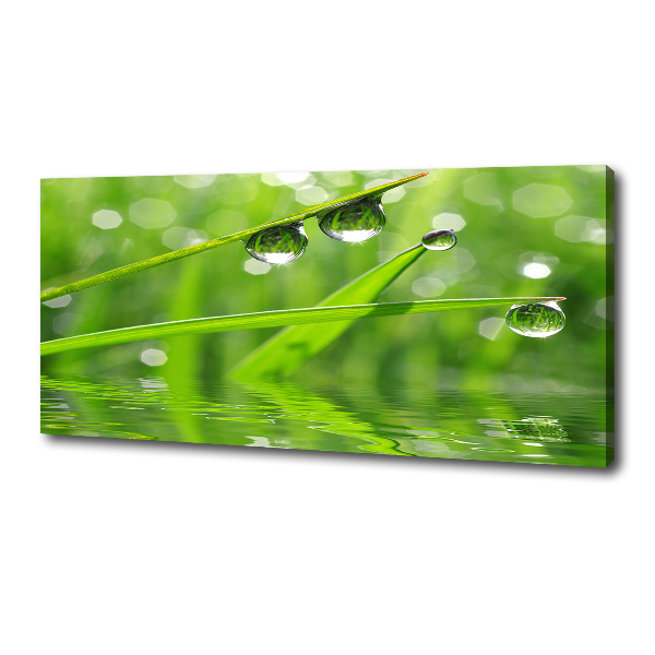 Canvas wall art Drops on the grass