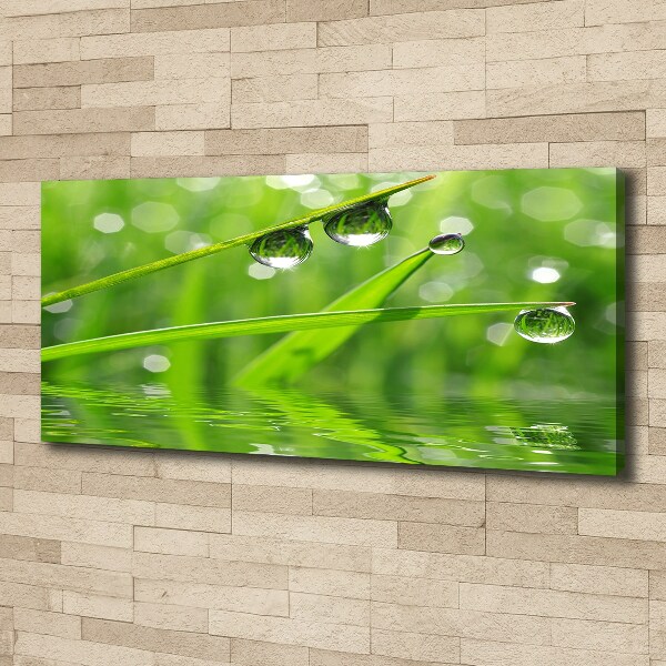 Canvas wall art Drops on the grass