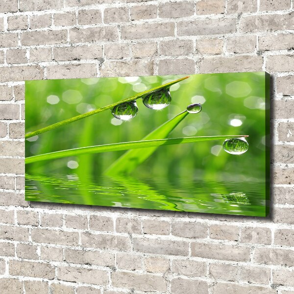 Canvas wall art Drops on the grass