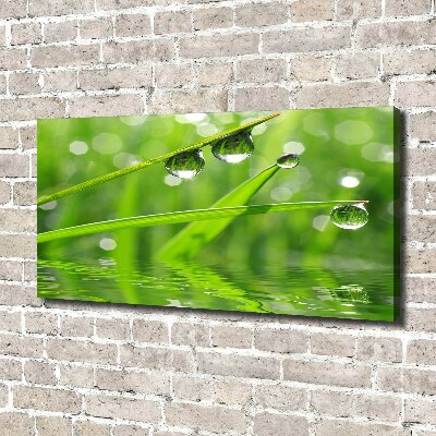 Canvas wall art Drops on the grass