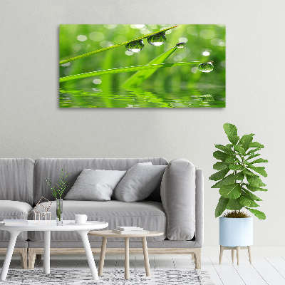 Canvas wall art Drops on the grass