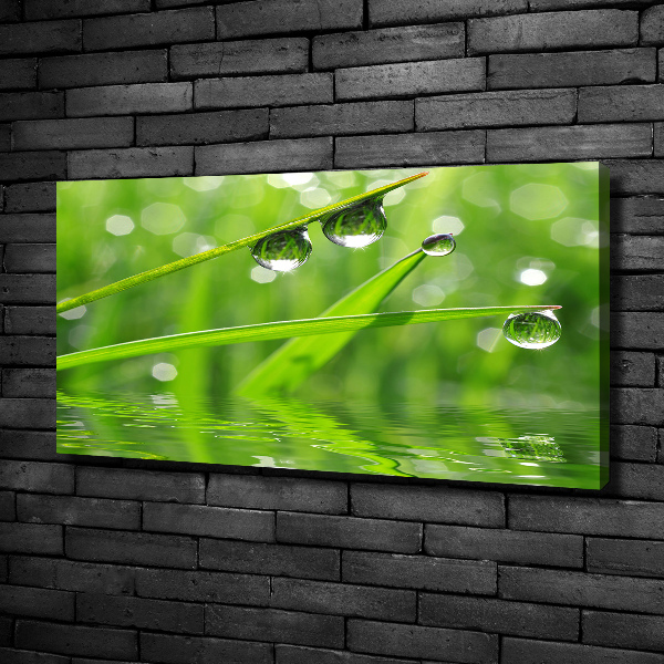 Canvas wall art Drops on the grass