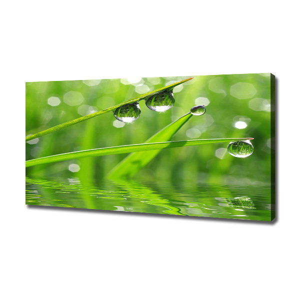 Canvas wall art Drops on the grass