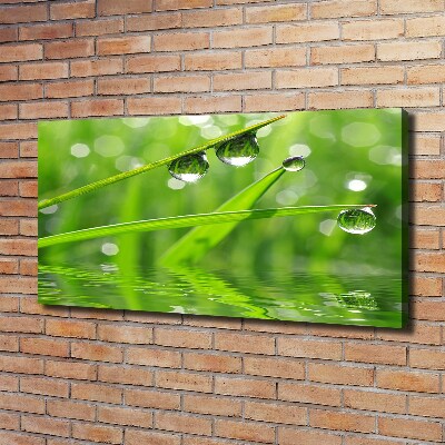 Canvas wall art Drops on the grass