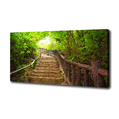 Canvas wall art Stairs in the forest