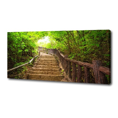 Canvas wall art Stairs in the forest