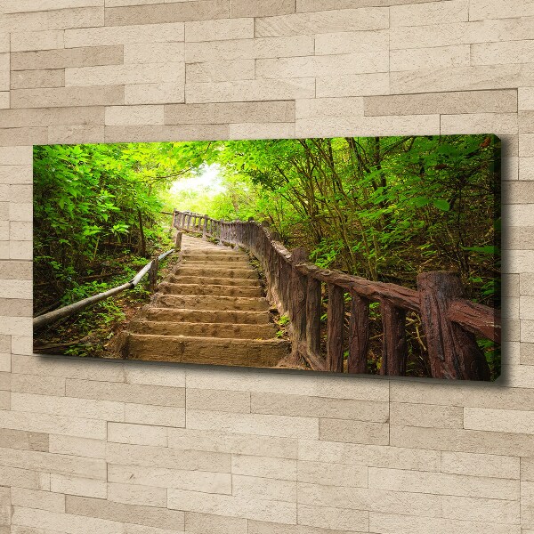 Canvas wall art Stairs in the forest