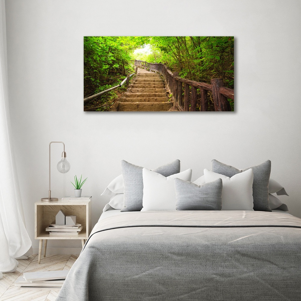 Canvas wall art Stairs in the forest