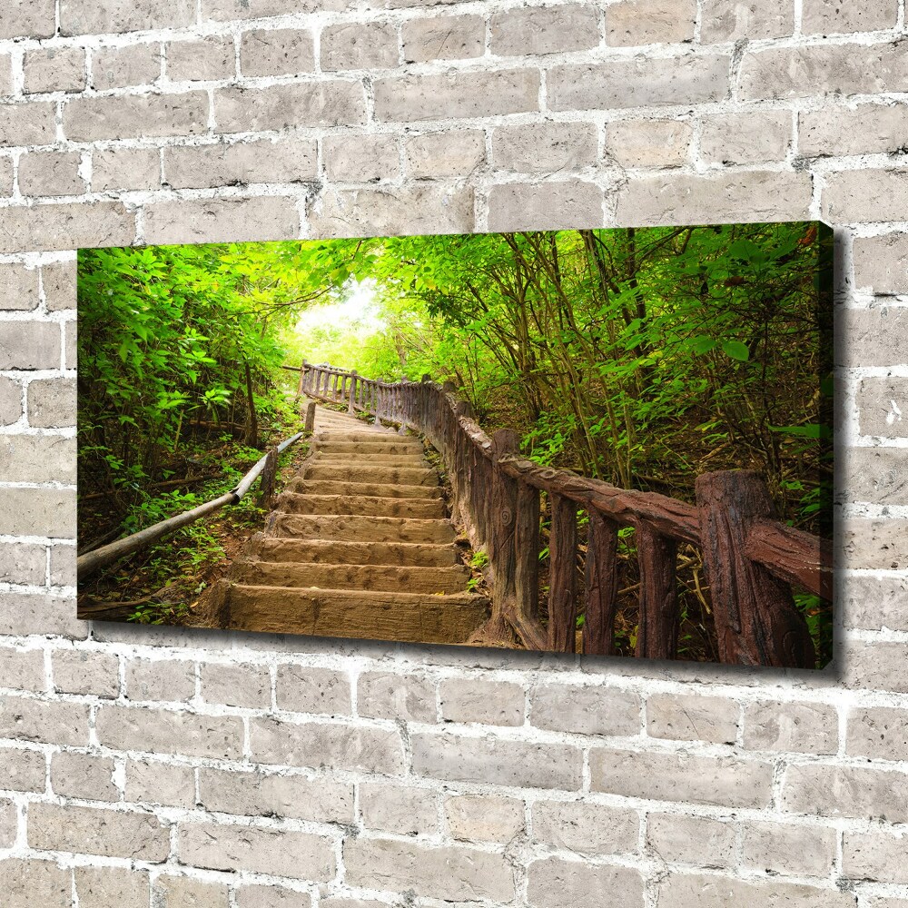 Canvas wall art Stairs in the forest