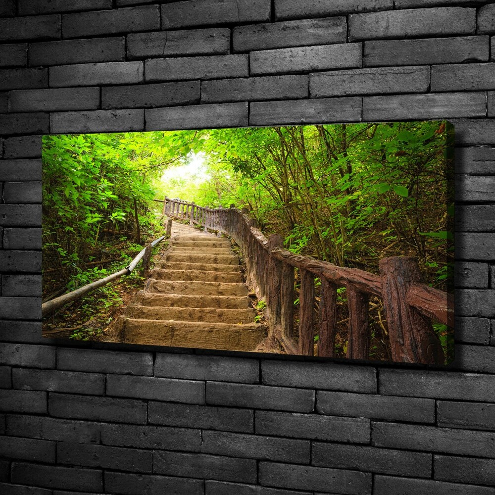 Canvas wall art Stairs in the forest