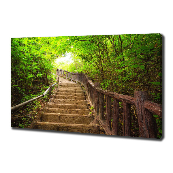 Canvas wall art Stairs in the forest